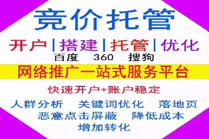 企业SEM服务实战案例解析